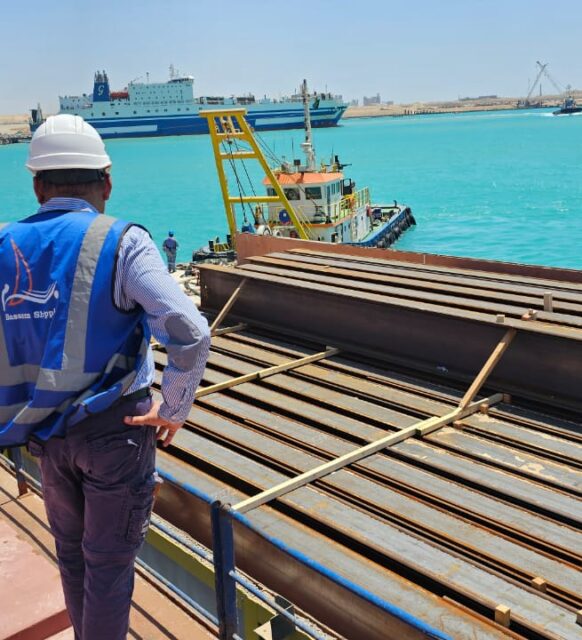 understanding marine survey